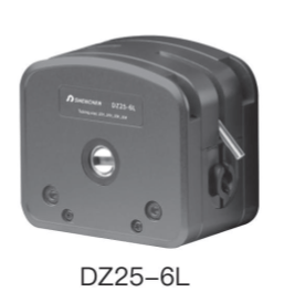 DZ25-6L Image